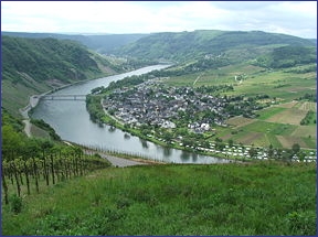 Mosel River near Wolf