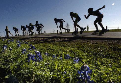 Skaters roll by a field of bluebonnets